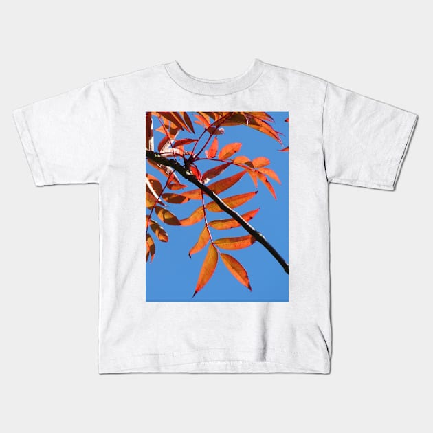 Autumn Kids T-Shirt by Chris Petty